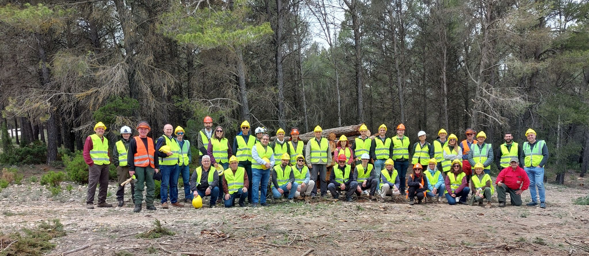 Demo Valencia Showcases Cutting-Edge Forestry Technology in Action