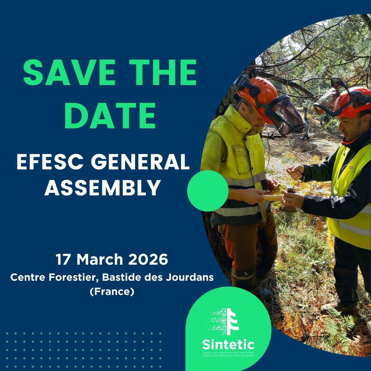 SAVE THE DATE: SINTETIC at the EFESC General Assembly – 17 March 