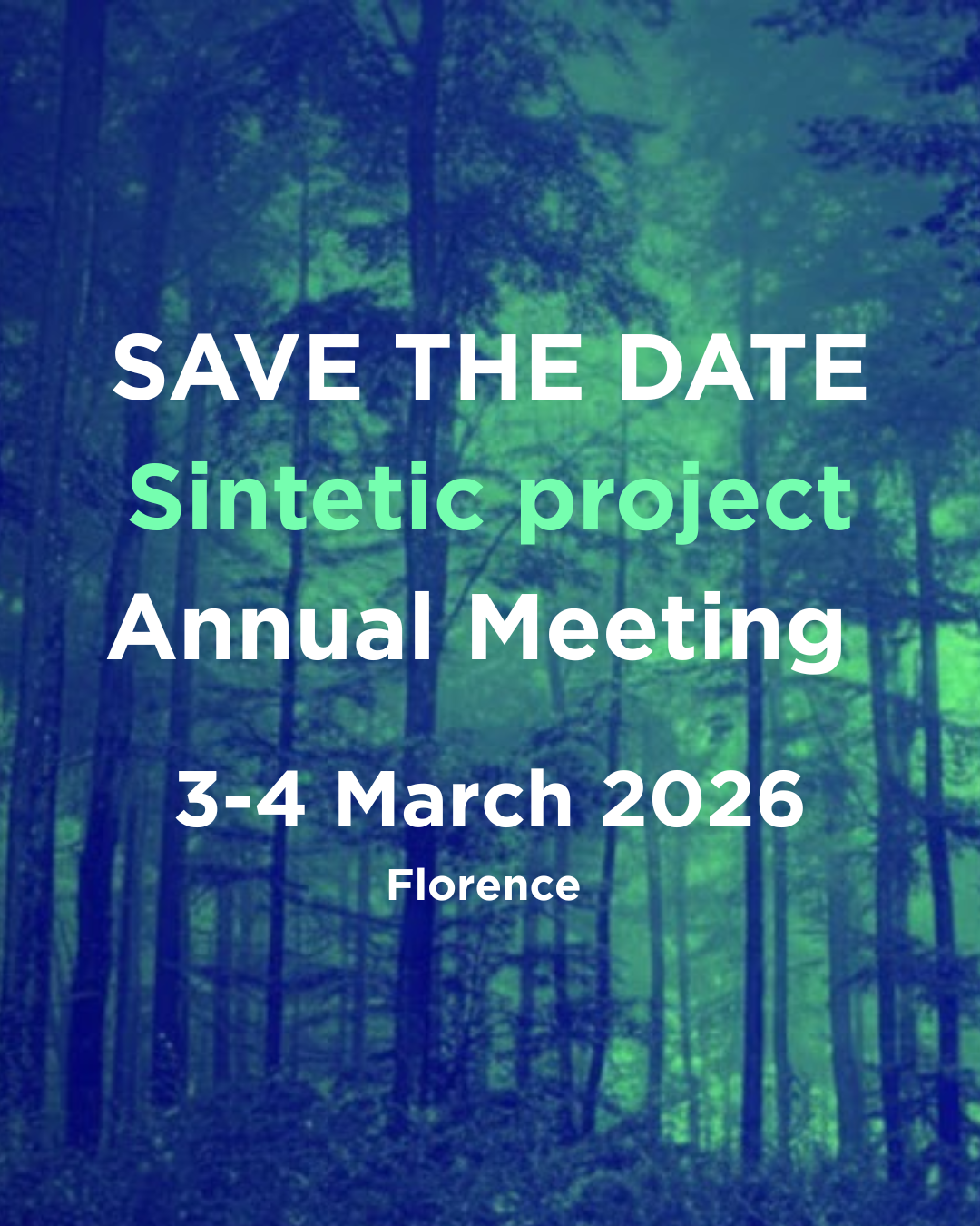 SAVE THE DATE : The Annual Meeting of the SINTETIC Project will be held in Florence on 3-4 March