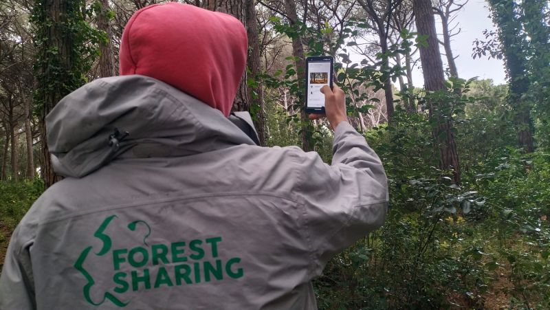 Partnering with the Università degli Studi di Firenze for Digital Forestry Training