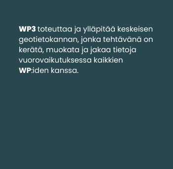 WP_wp3_FI_b