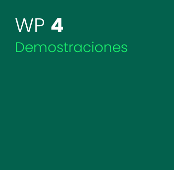 WP_wp4_ES_a