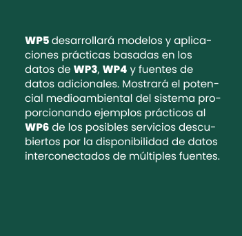 WP_wp5_ES_b