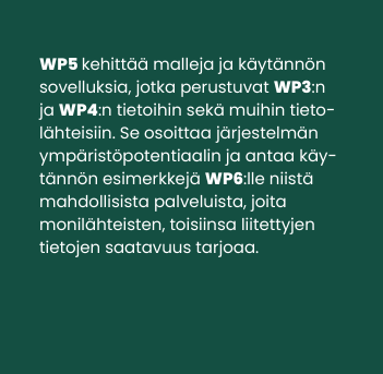 WP_wp5_FI_b