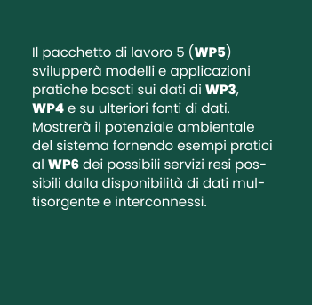 WP_wp5_IT_b