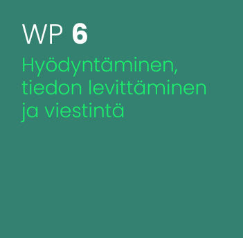 WP_wp6_FI_a