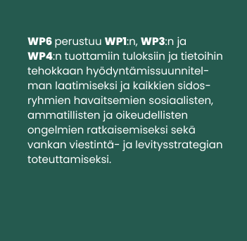 WP_wp6_FI_b