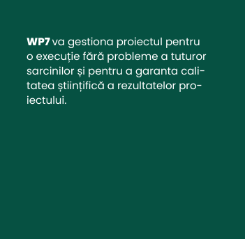 WP_wp7_RO_b